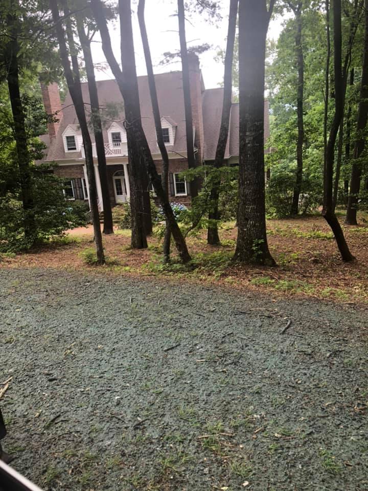 Trees Around The House — Hendersonville, NC — Gravely Hydroseeding & Excavating