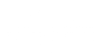 logo-image