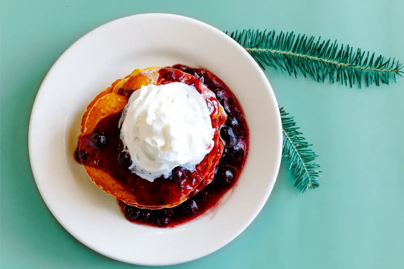 Dessert with whipped cream and berry sauce on a white plate, beside a green fern on a mint background