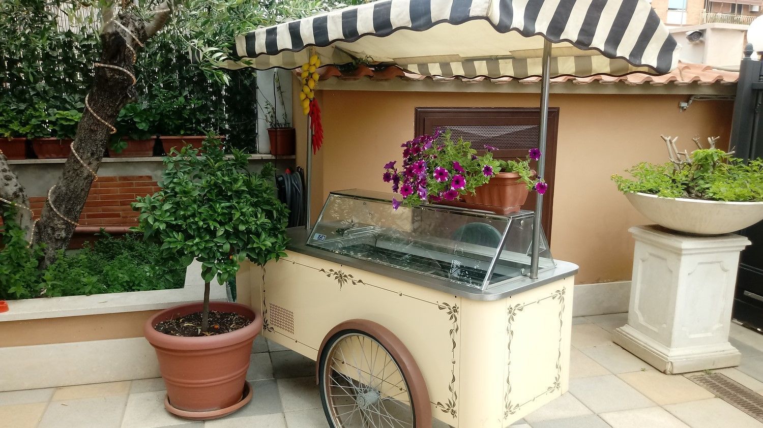 Carrello da giardino con tendalino a righe, piante in vaso e fiori accanto a un muro color crema.