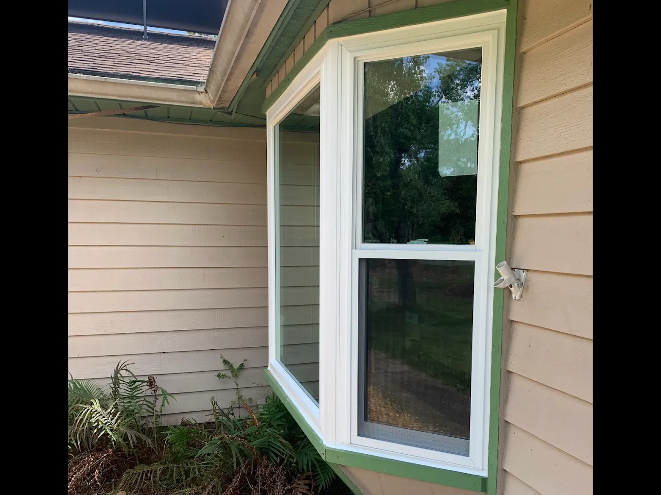 White-framed bay window on beige house exterior with green trim and shrubs below
