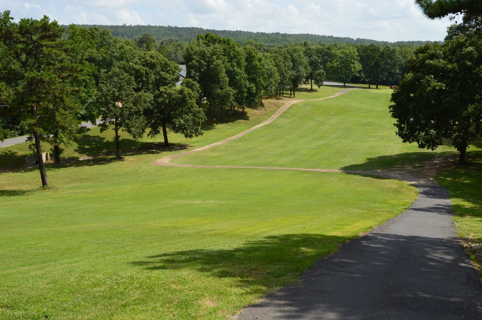 Green field with trees and path. A paved path curves through grass. Forest in the background.