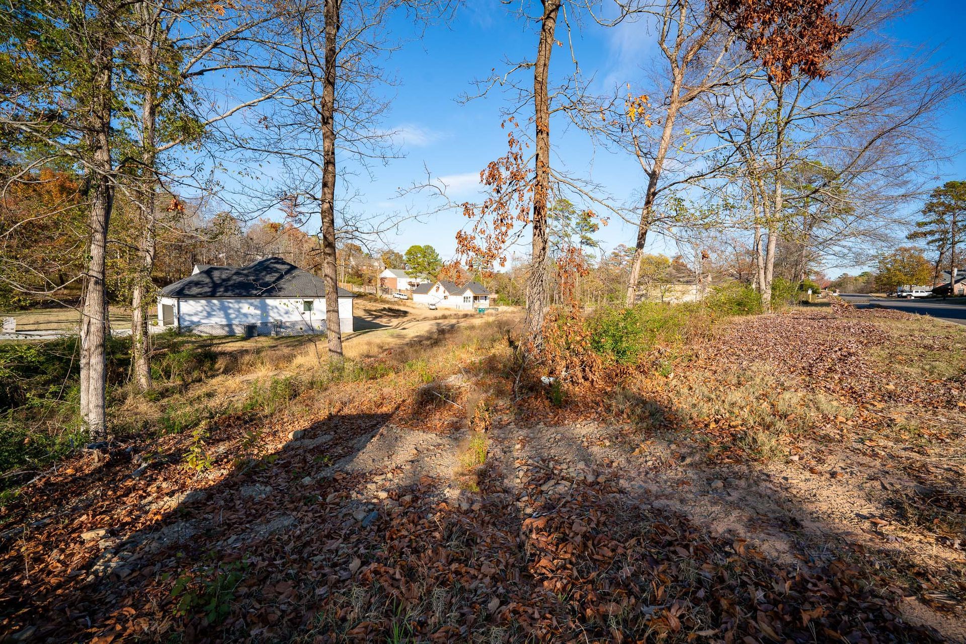View of a residential neighborhood with trees, brown foliage, and blue sky.