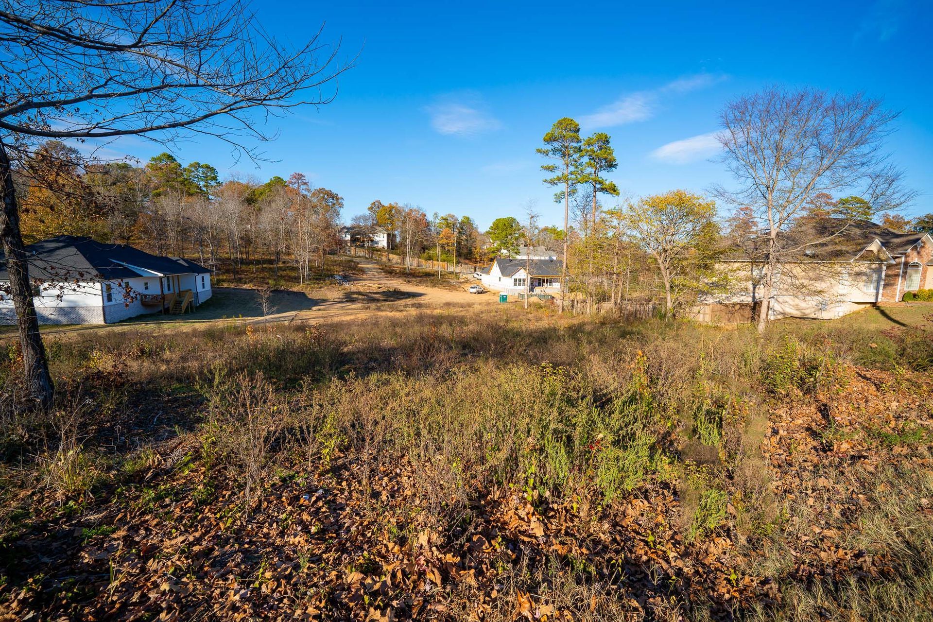 Grassy field with a few buildings and trees under a blue sky.