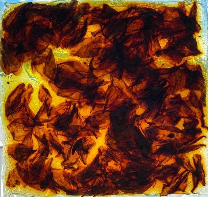 A close up of a brown and yellow painting