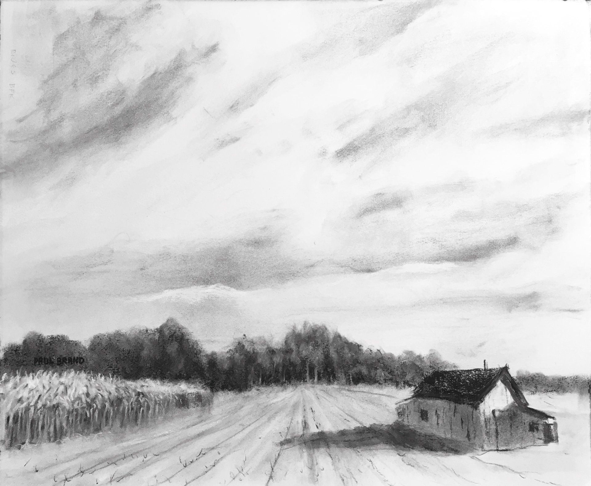A black and white drawing of a house in the middle of a field.