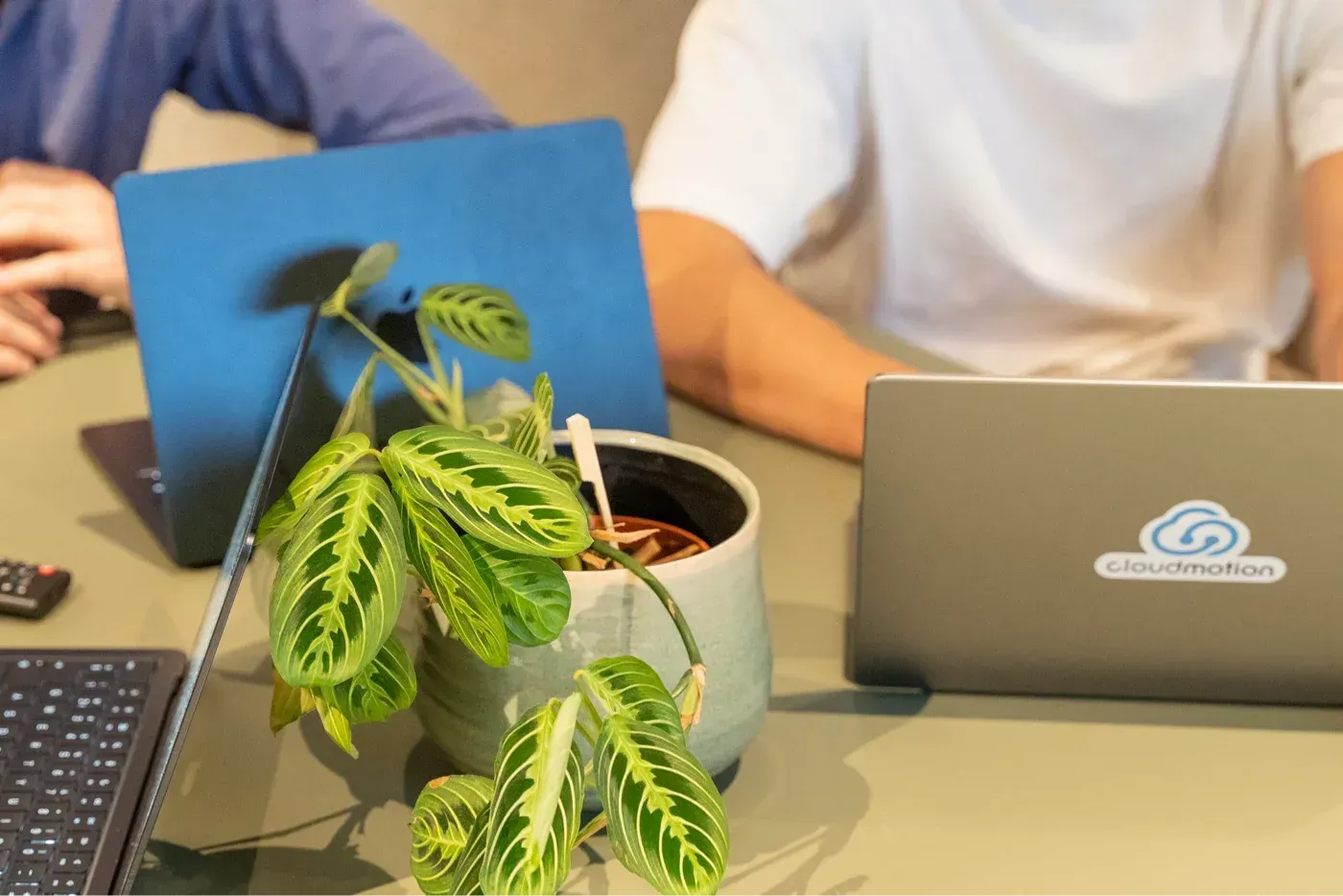 zendesk professionele health check