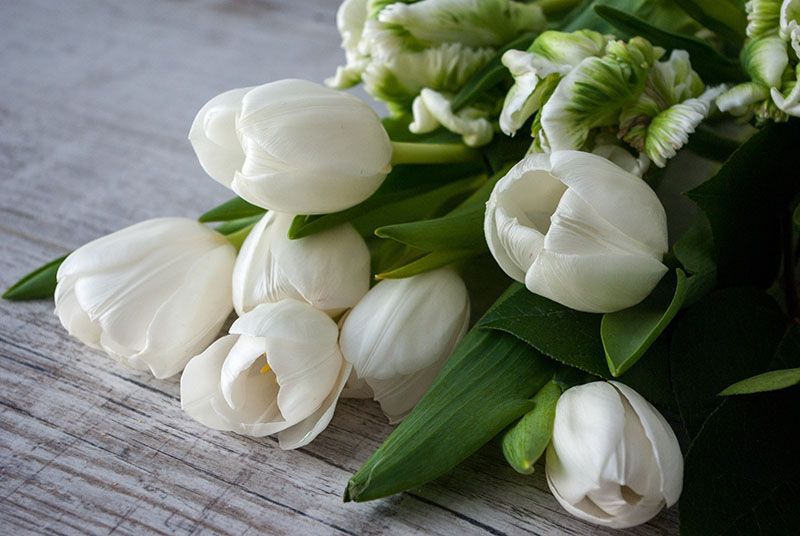 Send Flowers