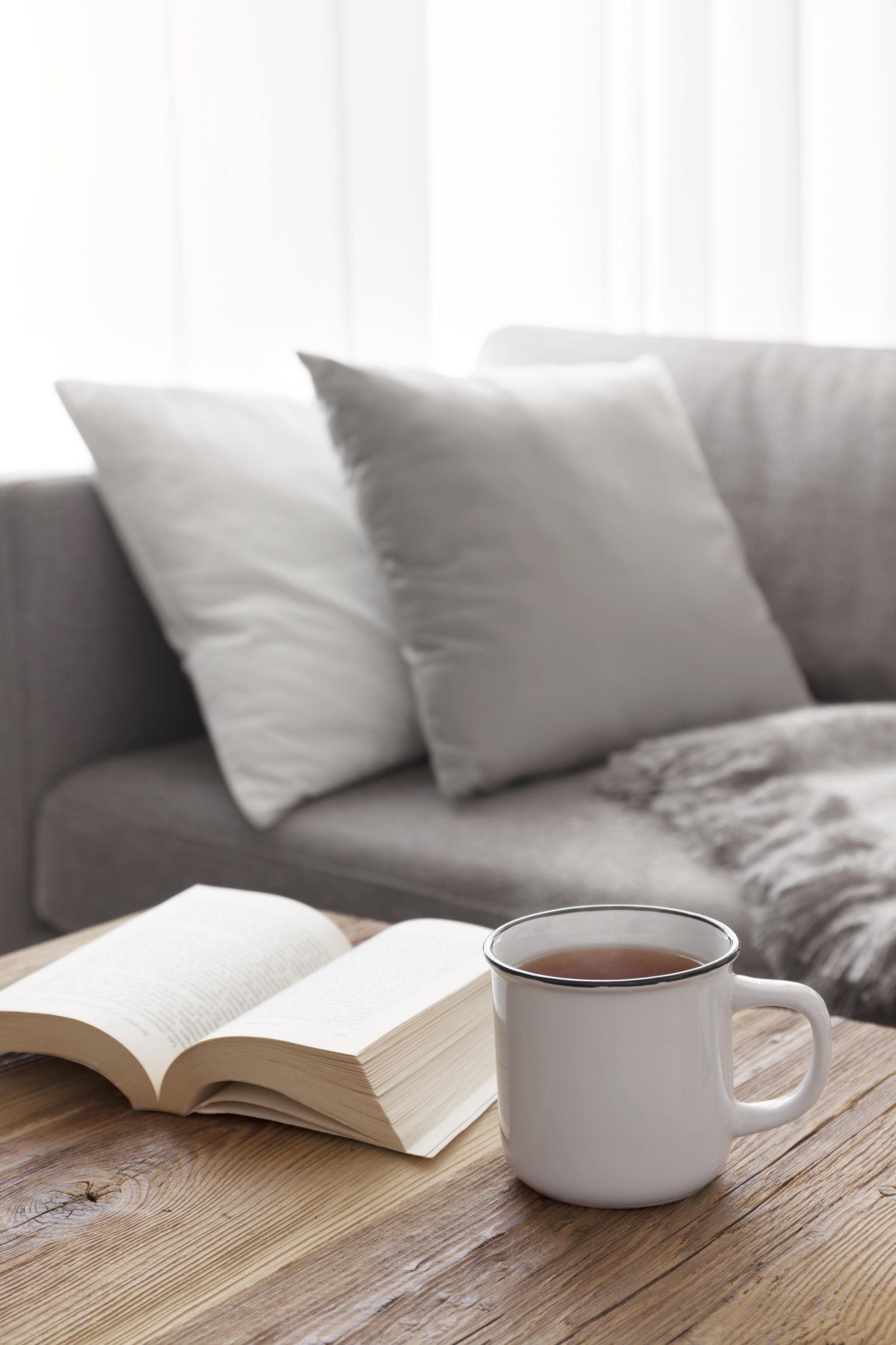Interior image of couch and table
