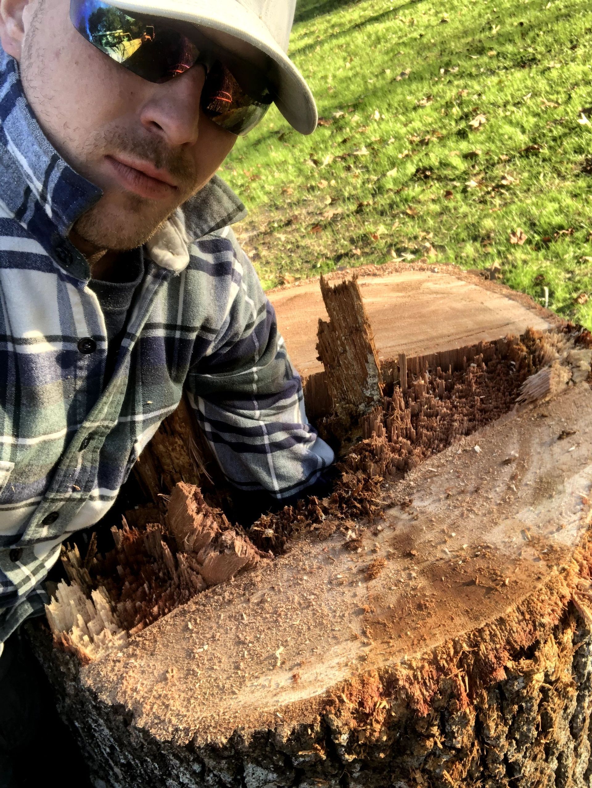 Person in plaid shirt and hat posing beside a freshly cut tree stump outdoors.