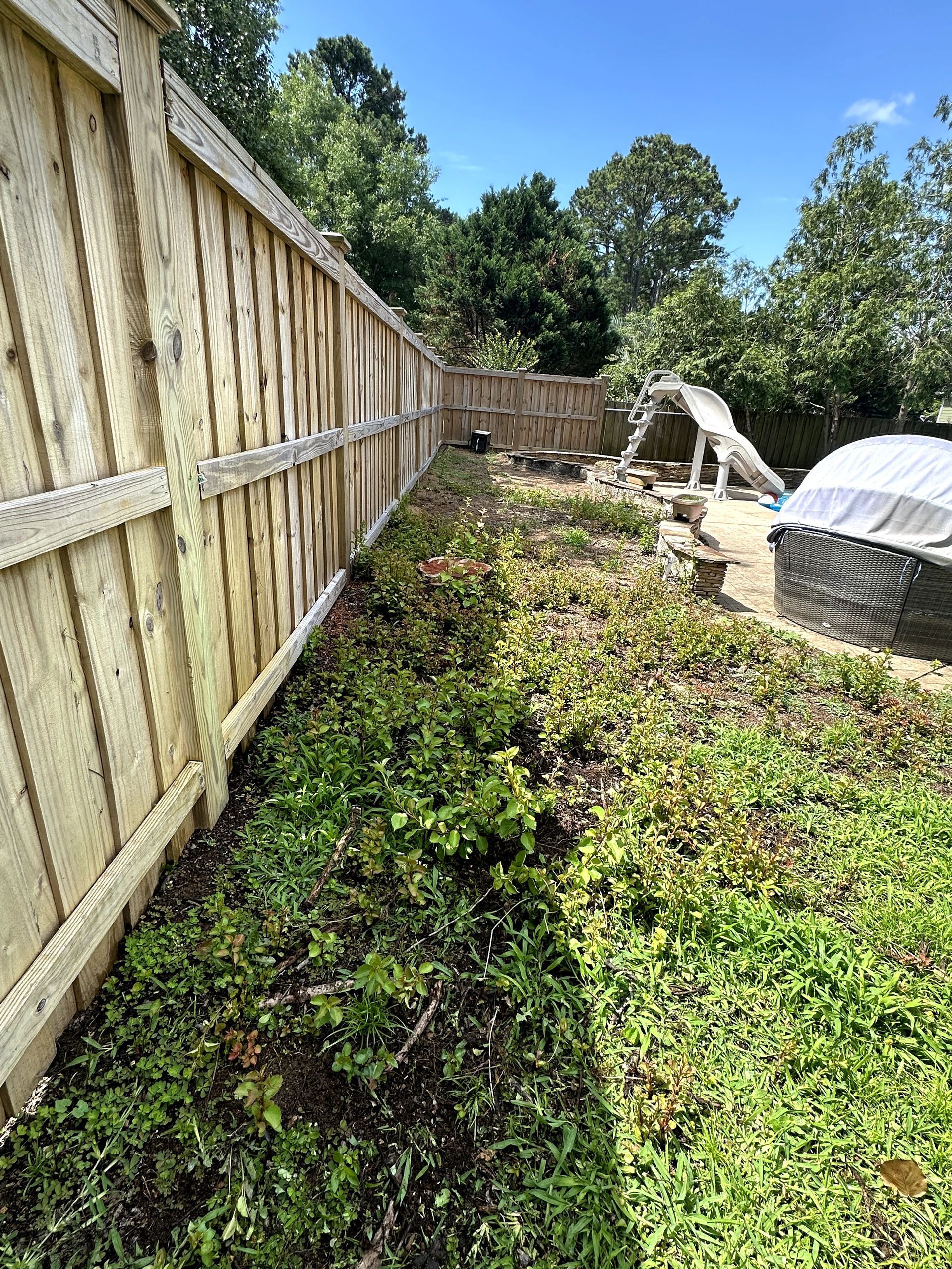 Backyard with overgrown groundcover beside a wooden fence, stone patio, and covered grill under sunny skies