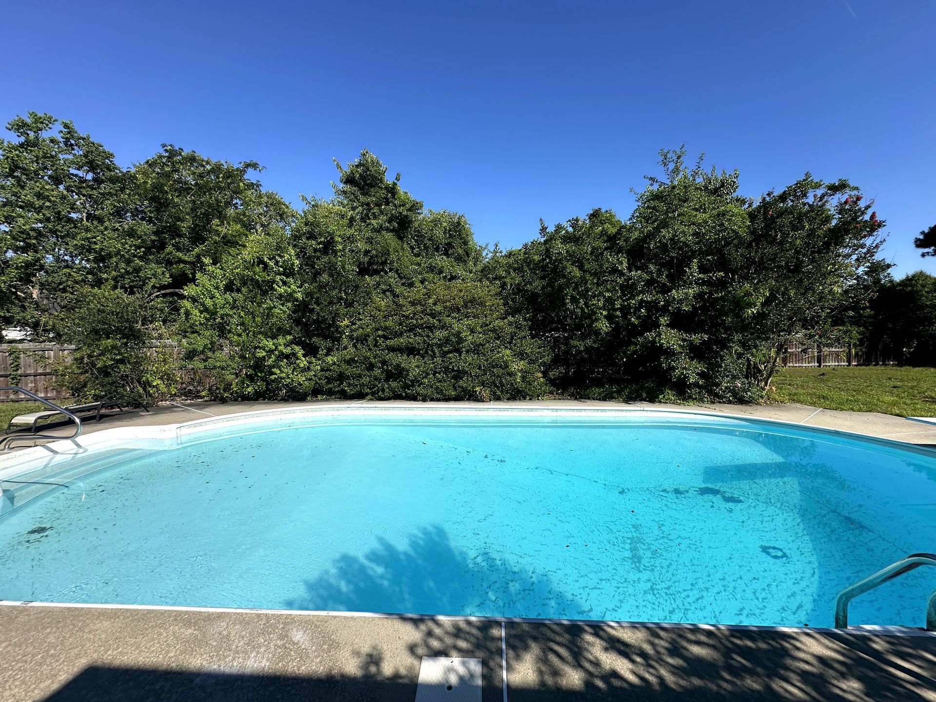 Backyard swimming pool with clear blue water, surrounded by trees under a bright sky
