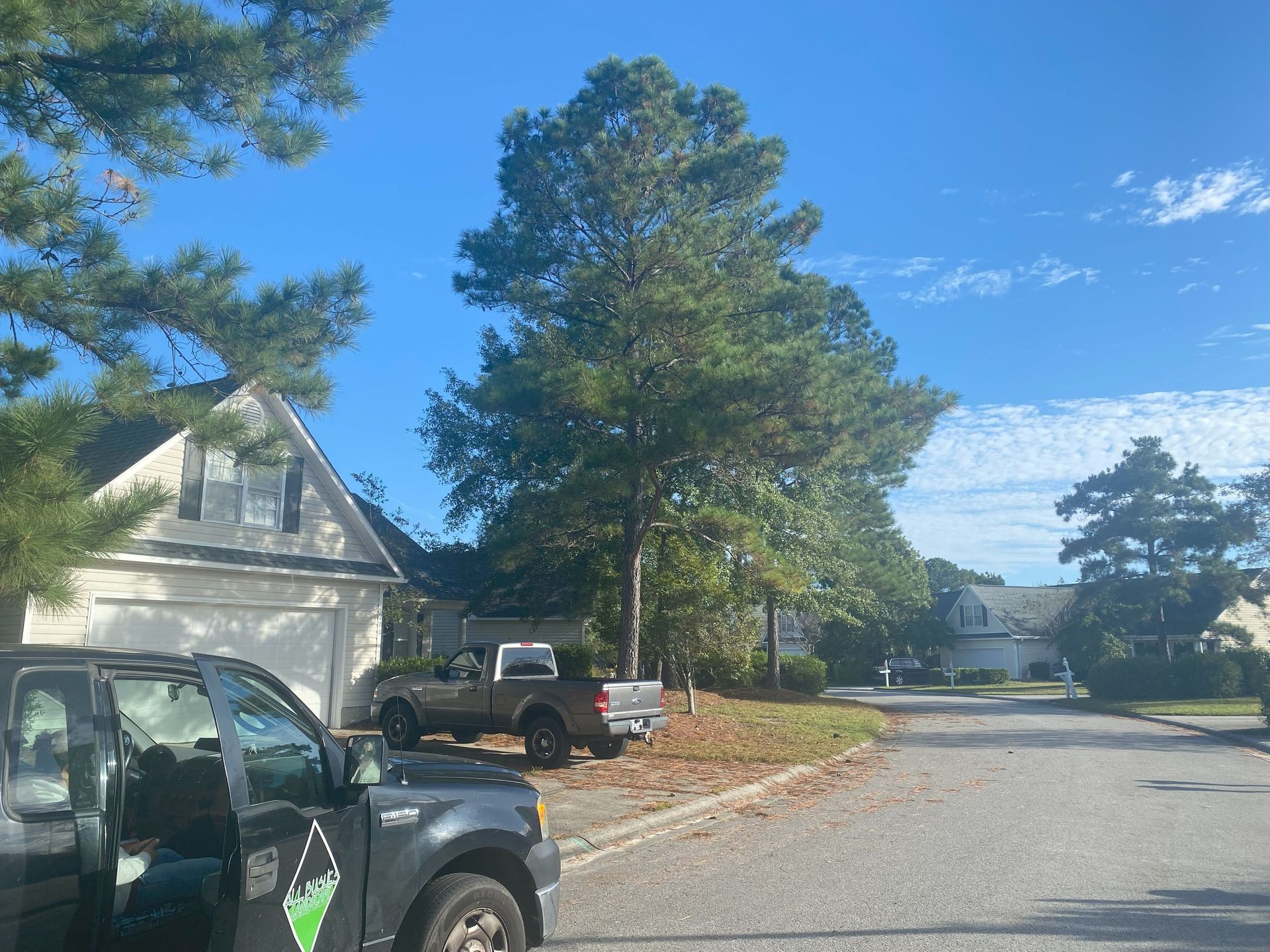 Suburban street with parked pickup truck, driveway, tall pine tree, and houses under a blue sky