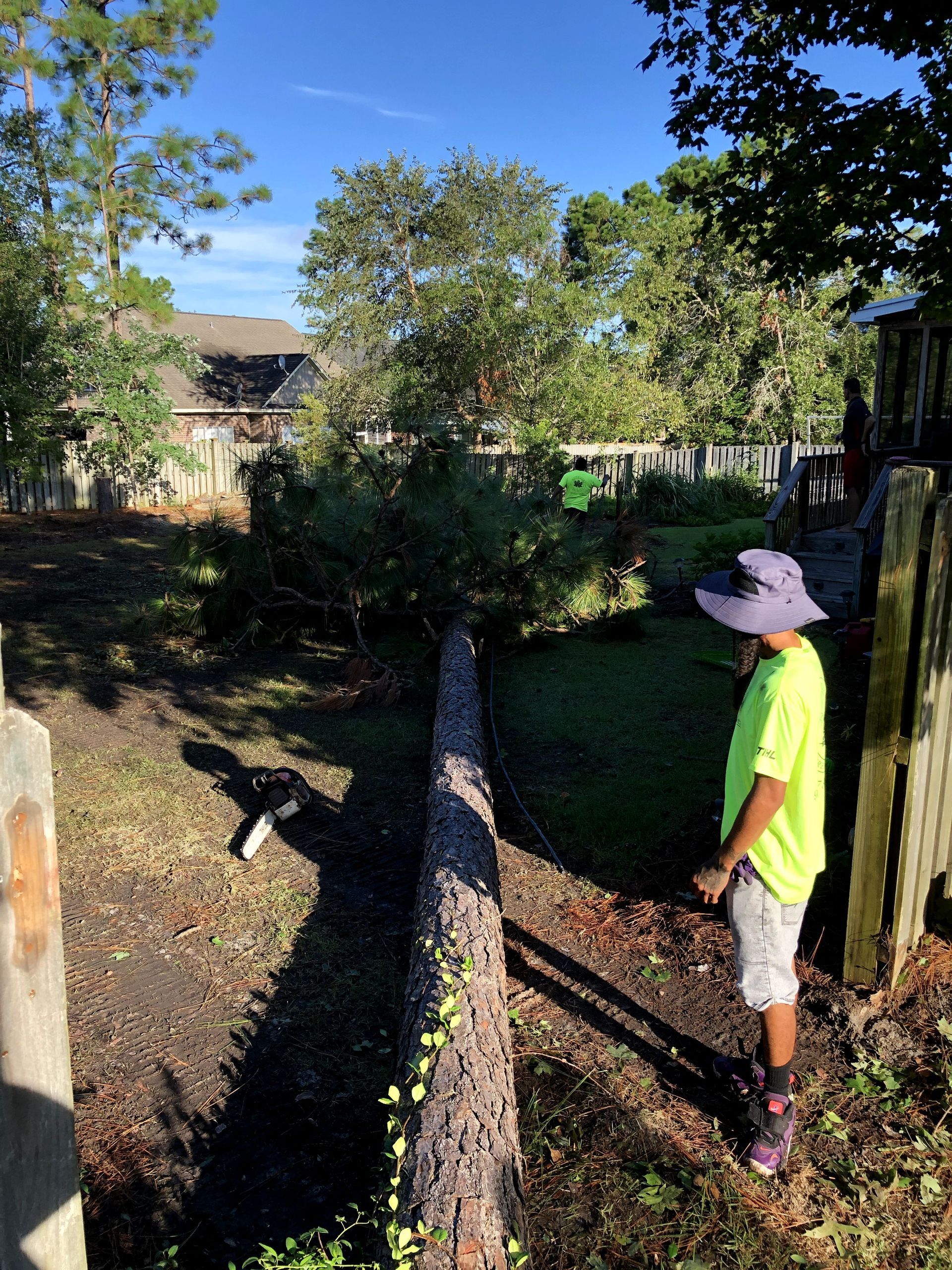 Child in a neon green shirt and white hat standing by a wooden fence in a sunny backyard garden.