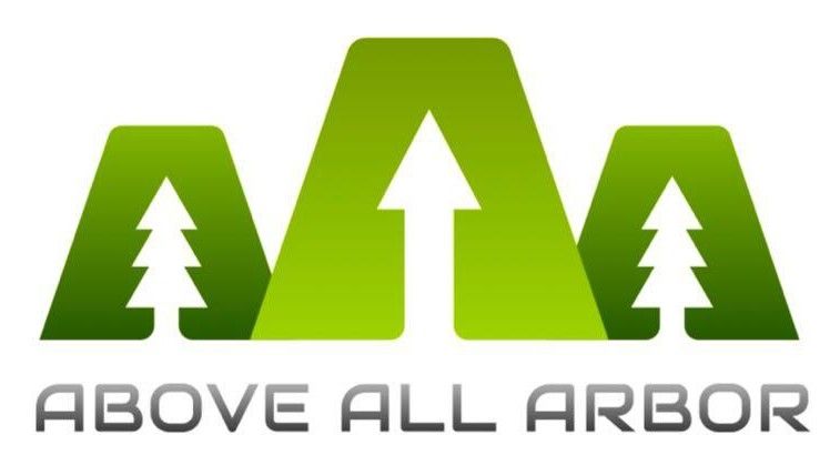 Green stylized mountain logo with pine trees and upward arrow above the words &ldquo;Above All Arbor&rdquo;