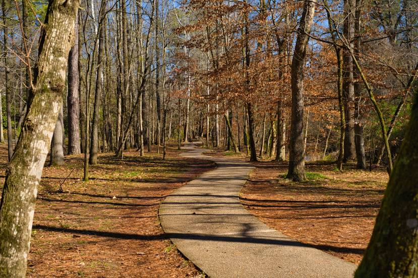 Bathroom Remodel Mountain Brook Remodeling Contractor Mountain Brook