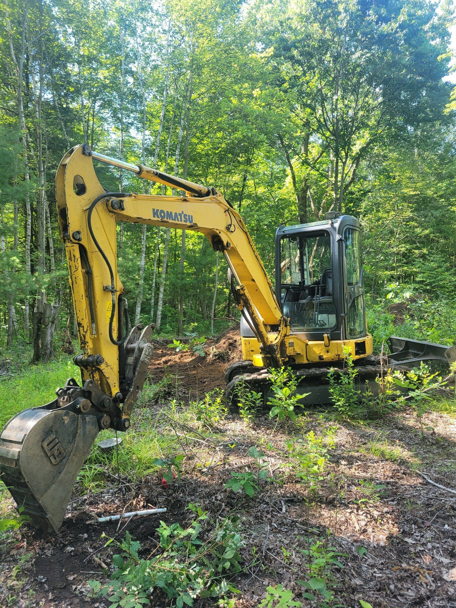 Yellow excavator clearing brush in a wooded area under bright sunlight.