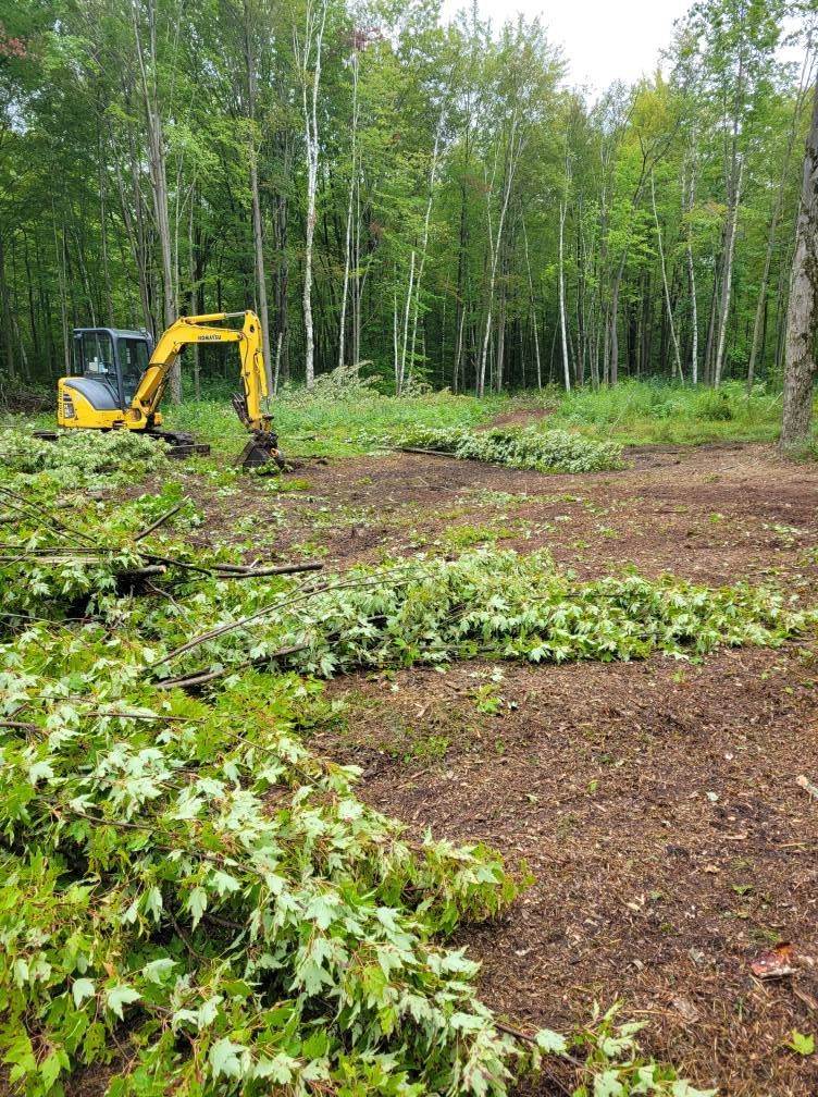 Yellow excavator clearing brush in a forest clearing with birch trees