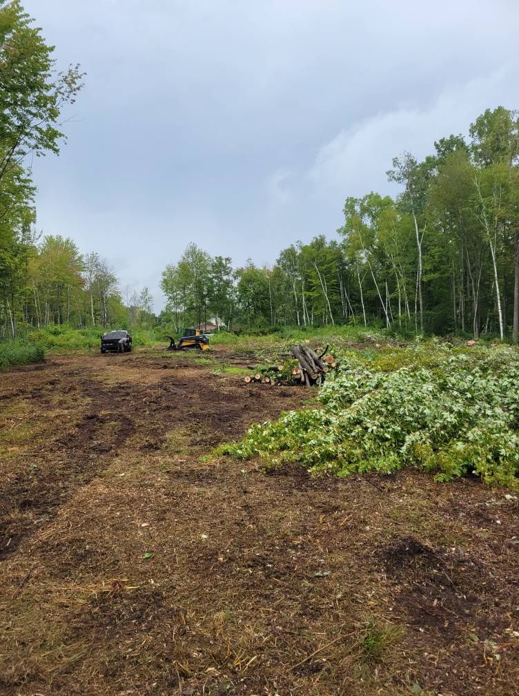 Cleared dirt path through a forest edge with two vehicles and a pile of cut branches under a cloudy sky