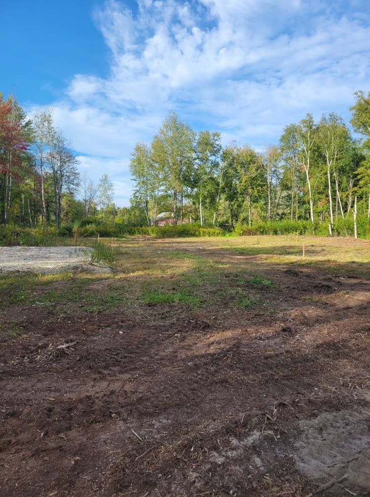 Open dirt clearing beside a tree line under a bright blue sky with scattered clouds.