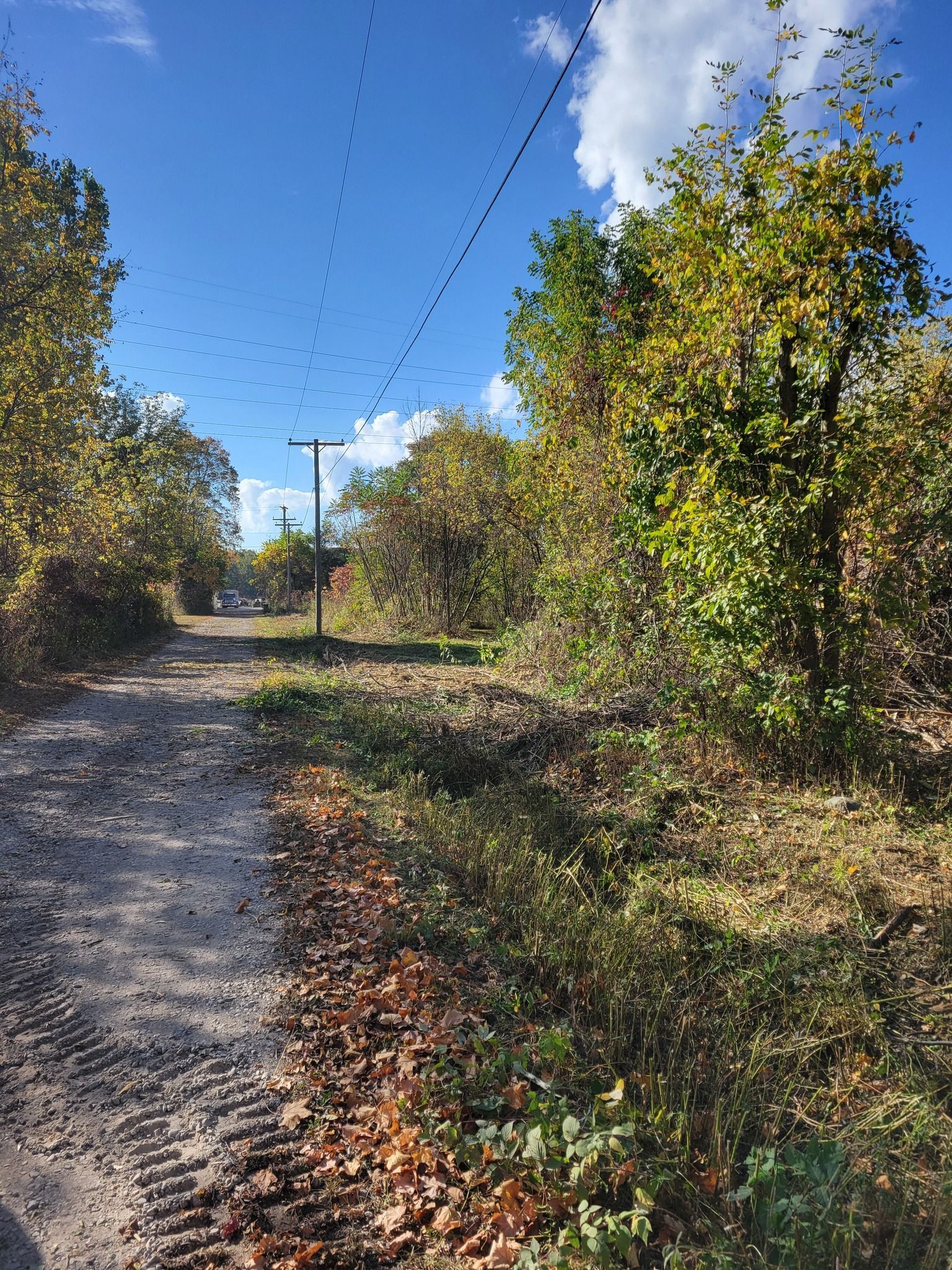 Gravel path beside leafy trees under a bright blue sky with overhead power lines.