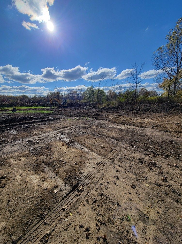 Mud-covered clearing under a bright blue sky with sun, clouds, and trees along the horizon