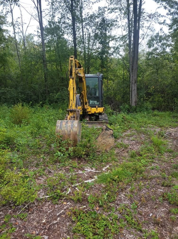 Yellow excavator on muddy ground in a wooded area with trees and dense green brush.
