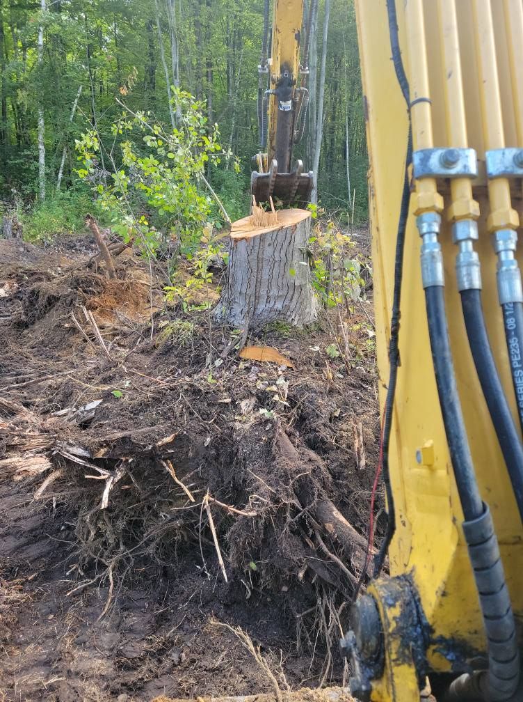 Excavator bucket pulling up a tree stump with exposed roots in a muddy wooded area.
