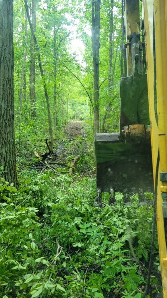 Dense green forest with a yellow excavator arm clearing vegetation on the right side