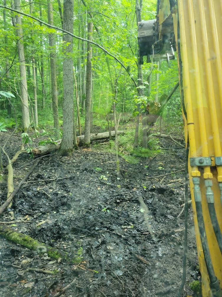 Mud-covered forest hillside beside yellow construction equipment in a wooded area