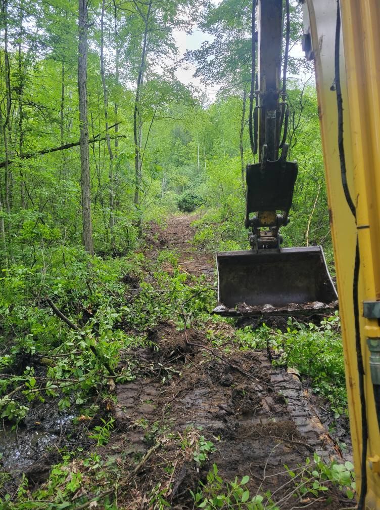 Excavator bucket clearing a muddy forest path surrounded by green trees and brush