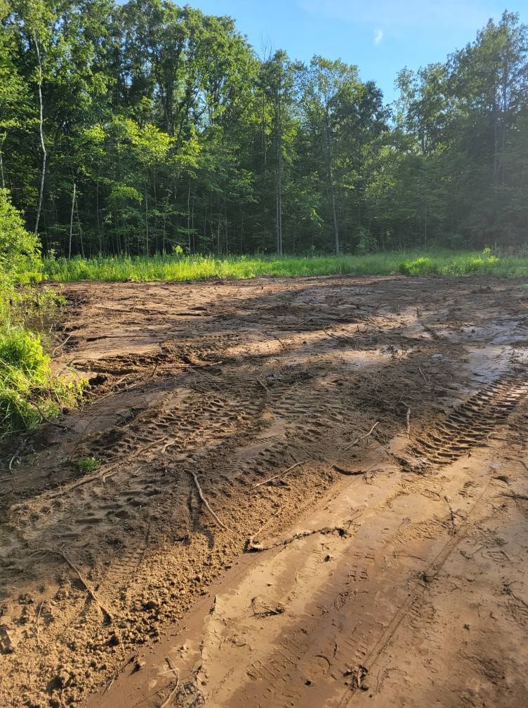 Mud-scarred dirt clearing beside a green forest under a sunny blue sky
