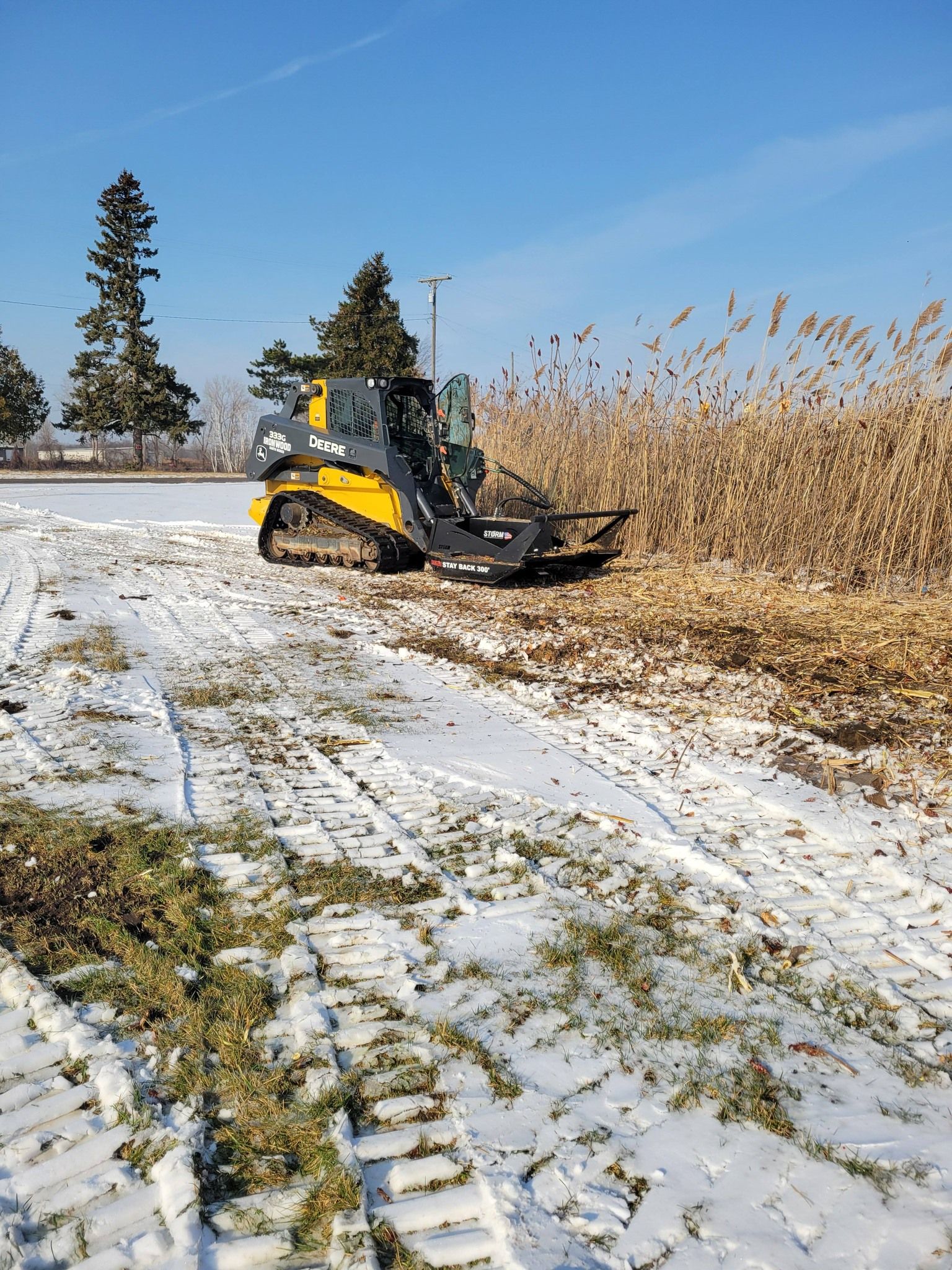 Yellow compact loader clearing snow beside tall brown reeds in a snowy field under a blue sky