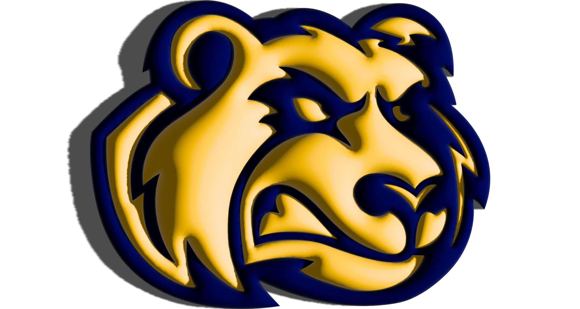 DePAUL CRISTO REY HIGH SCHOOL BRUINS CINCINNATI