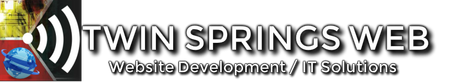 A logo for twin springs web website development and it solutions
