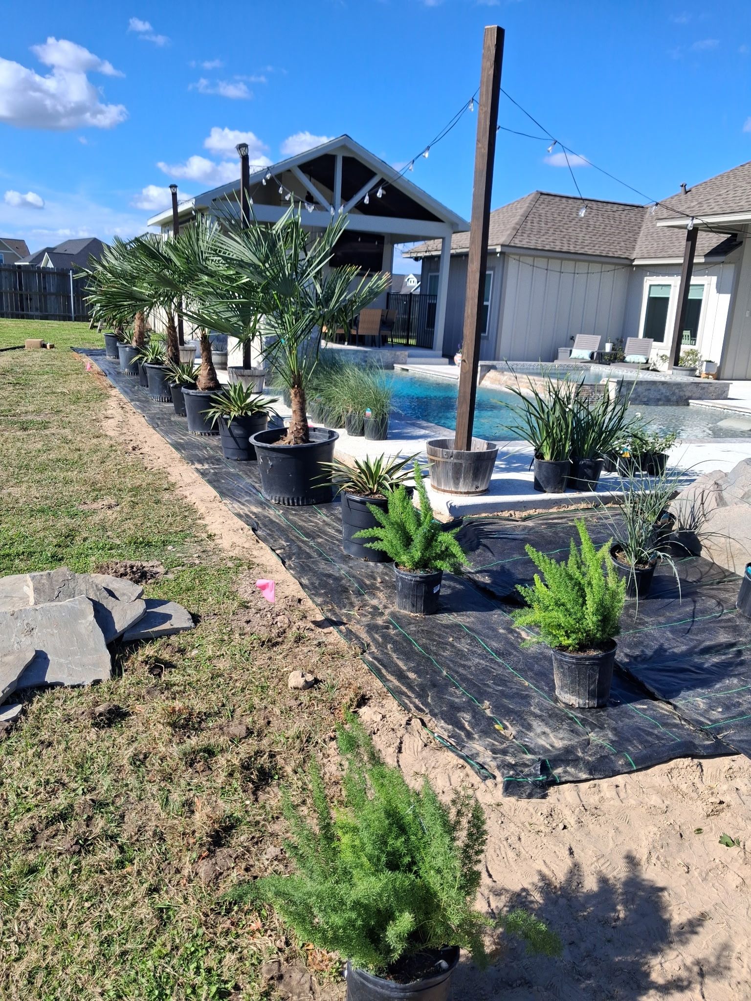 Backyard with raised flower beds, young shrubs, and a covered patio beside a pool on a sunny day
