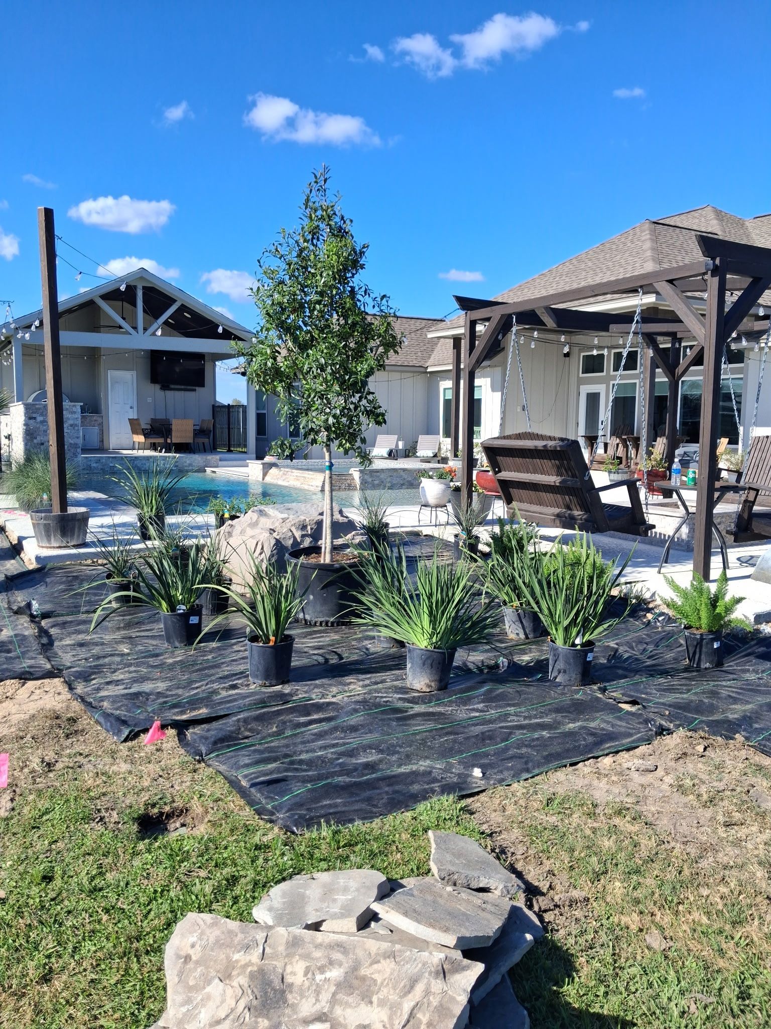 Backyard with landscaped garden beds, potted plants, and patio structures under a blue sky
