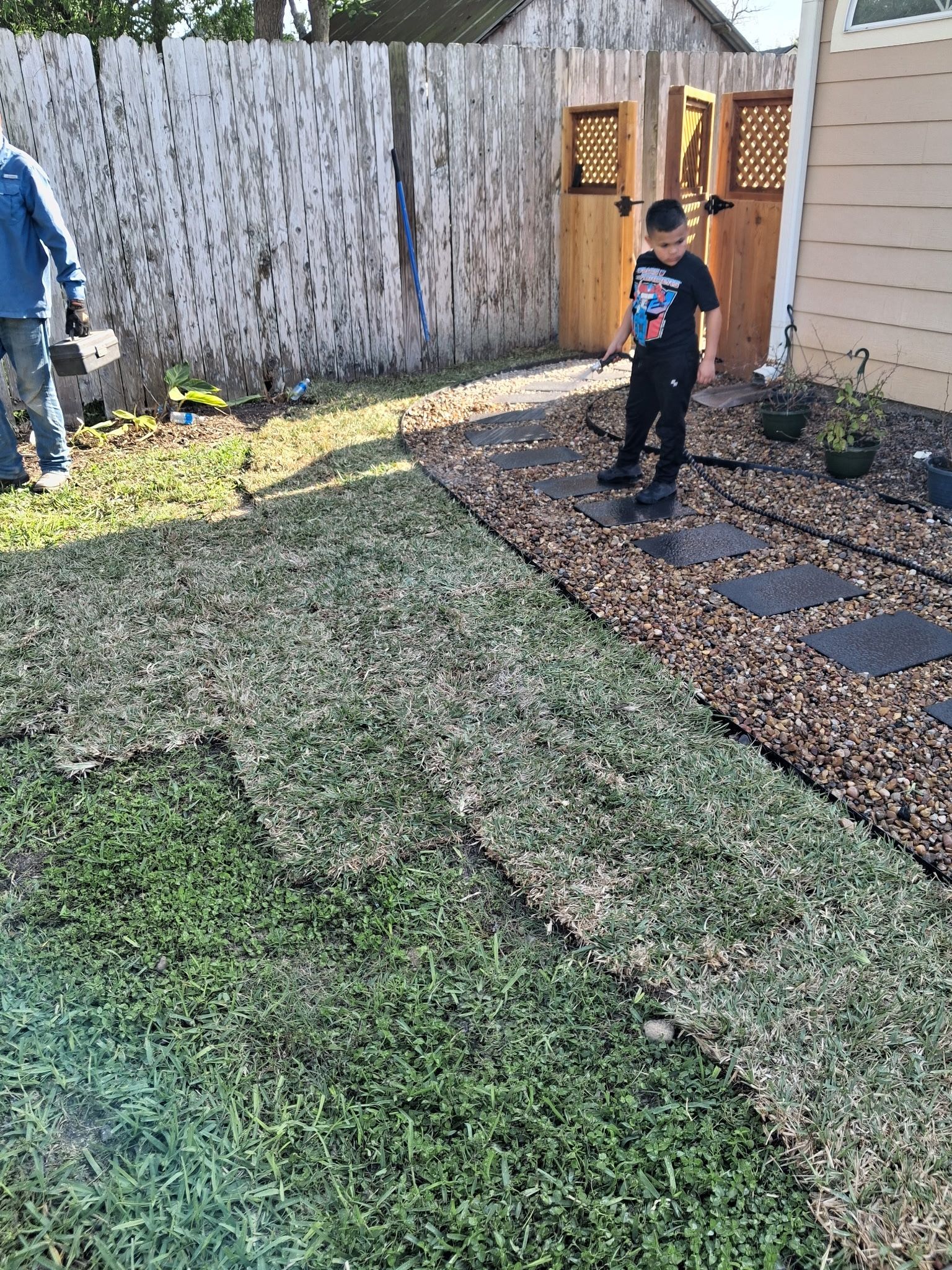 Child standing in a backyard near a wooden fence and gate, beside a stone path and patchy grass.