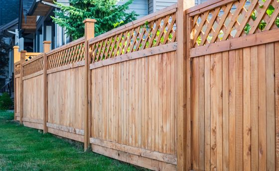 Wooden privacy fence with lattice top along a grassy backyard edge