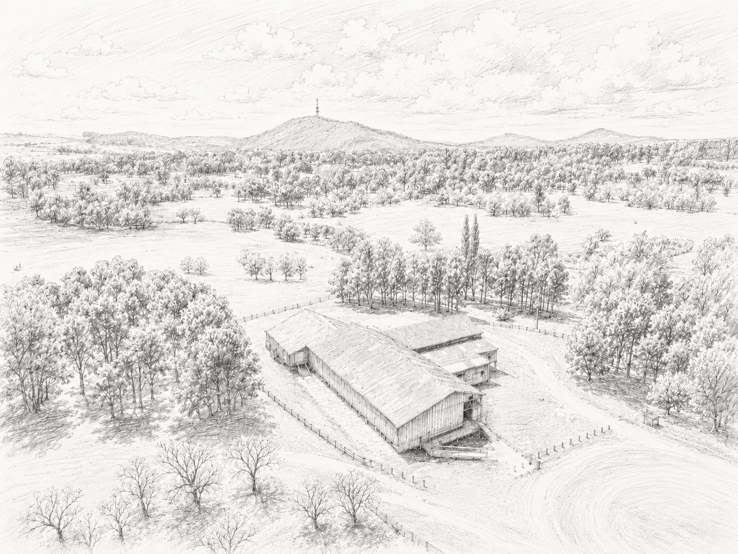 The Yarralumla Woolshed