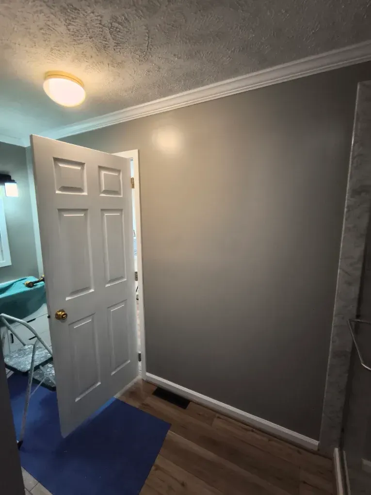 Open bedroom door showing a gray wall, blue carpet, and wood floor under a ceiling light.
