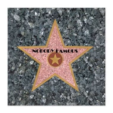 Pink star plaque on a gray stone background reading “Nobody Famous”