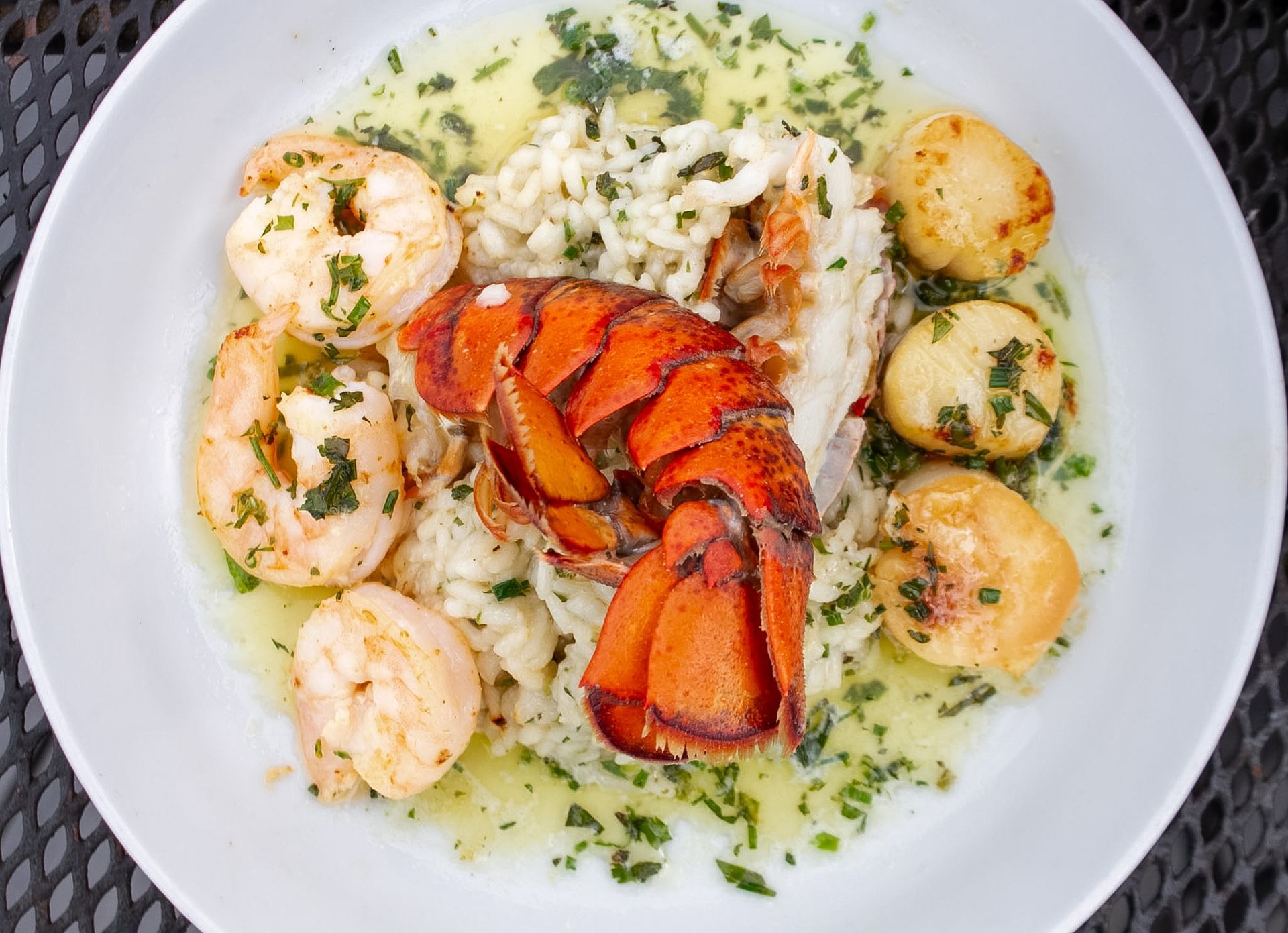 Shrimp and lobster tail pasta in creamy white sauce, garnished with green herbs, on a white plate
