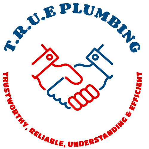 TRUE Plumbing Logo
