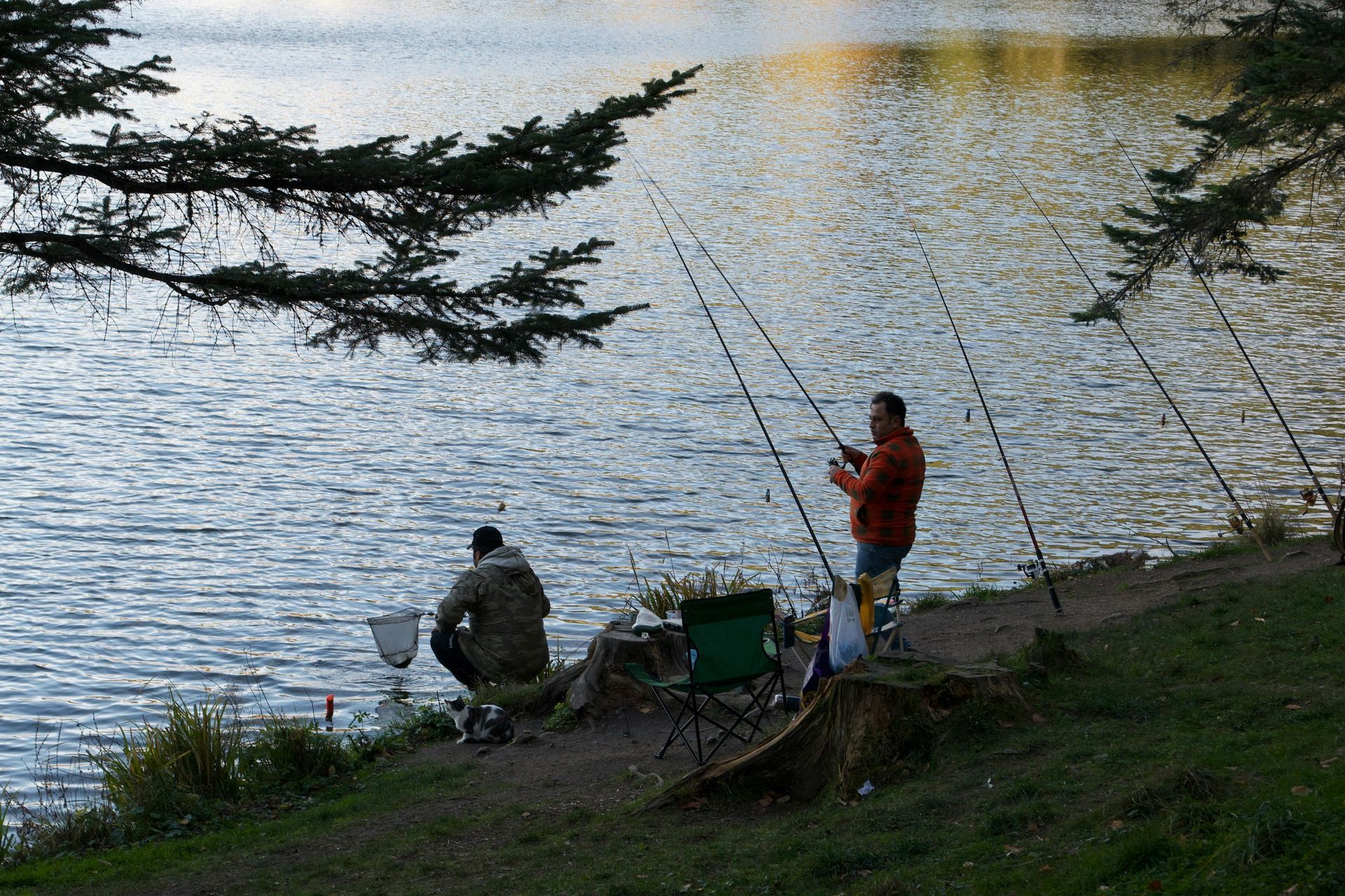 Two people fishing by a lakeshore at dusk, with rods, a bucket, and trees framing the water.