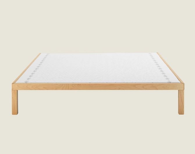 Rete Dorsal® Zefiro