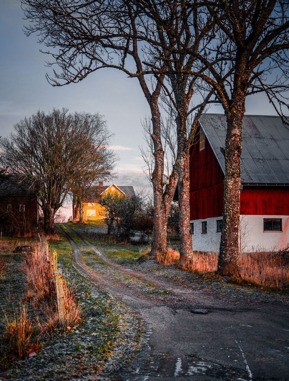 Frost on the grass along a farm lane beside a red barn on a cold morning