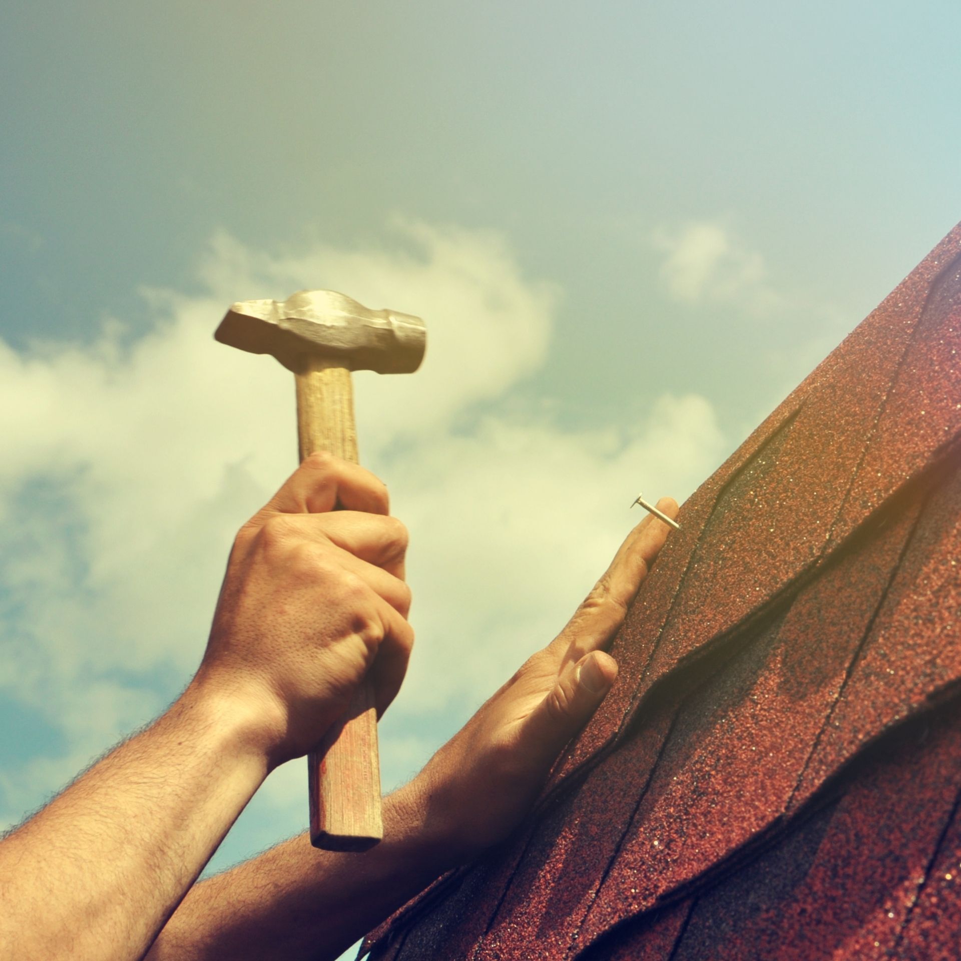 shingle repair | Thonotosassa, FL | Rainstorm Roofing