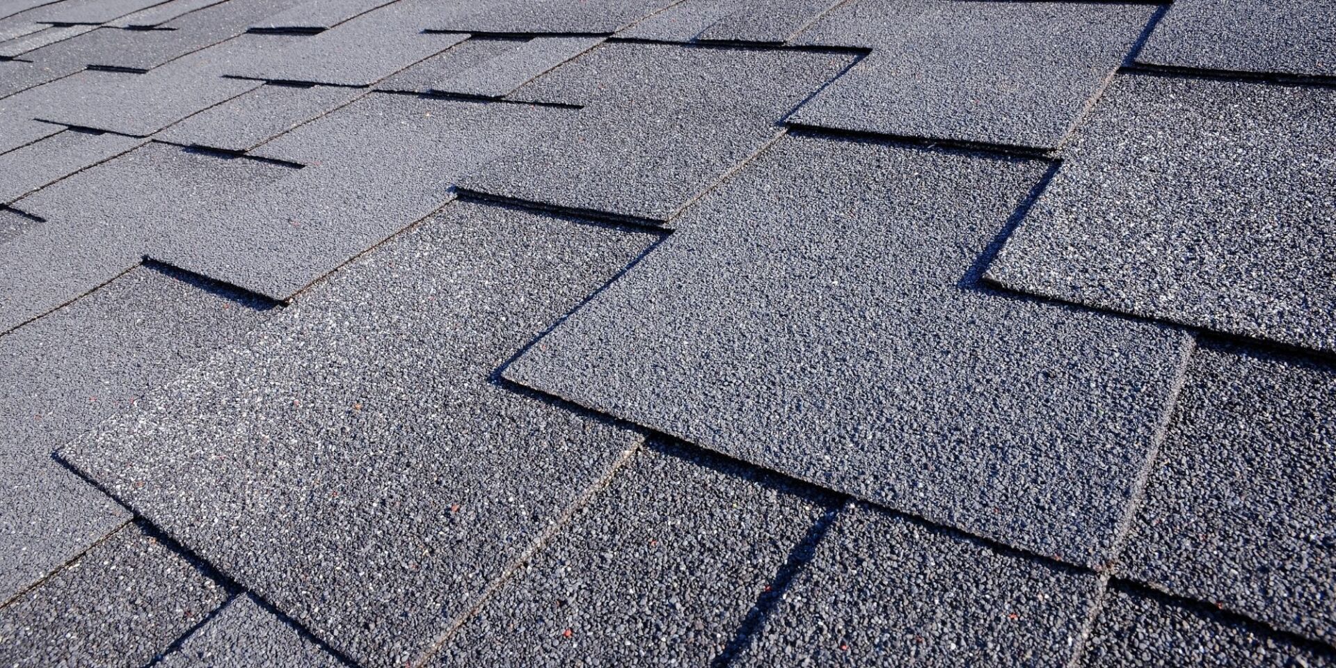 Shingle roof | Thonotosassa, FL | Rainstorm Roofing