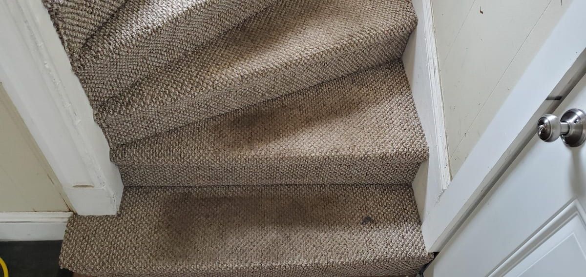 Stained brown staircase carpet with visible pet stains before cleaning, Waltham MA home